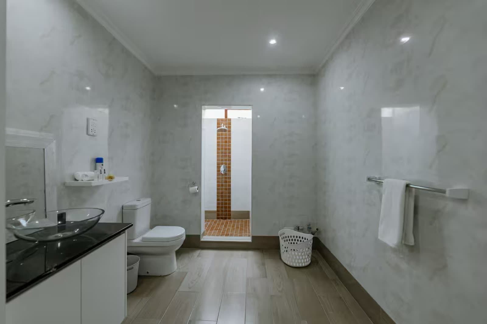 En-suite bathroom with walk-in shower and vessel sink